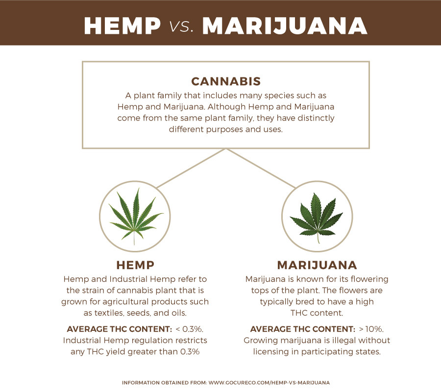 Difference between Hemp & Marijuana | Earthly Body since 1996